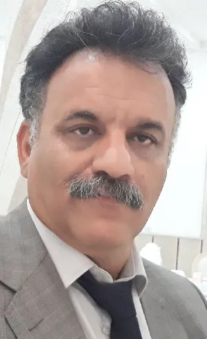 آقای علی بیگی