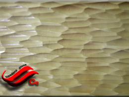 60*facade stone mold poost drakhti 40